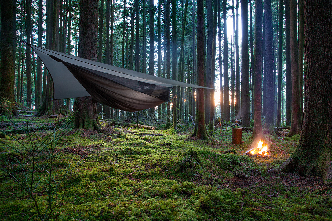 Hennessy Hammock Spots