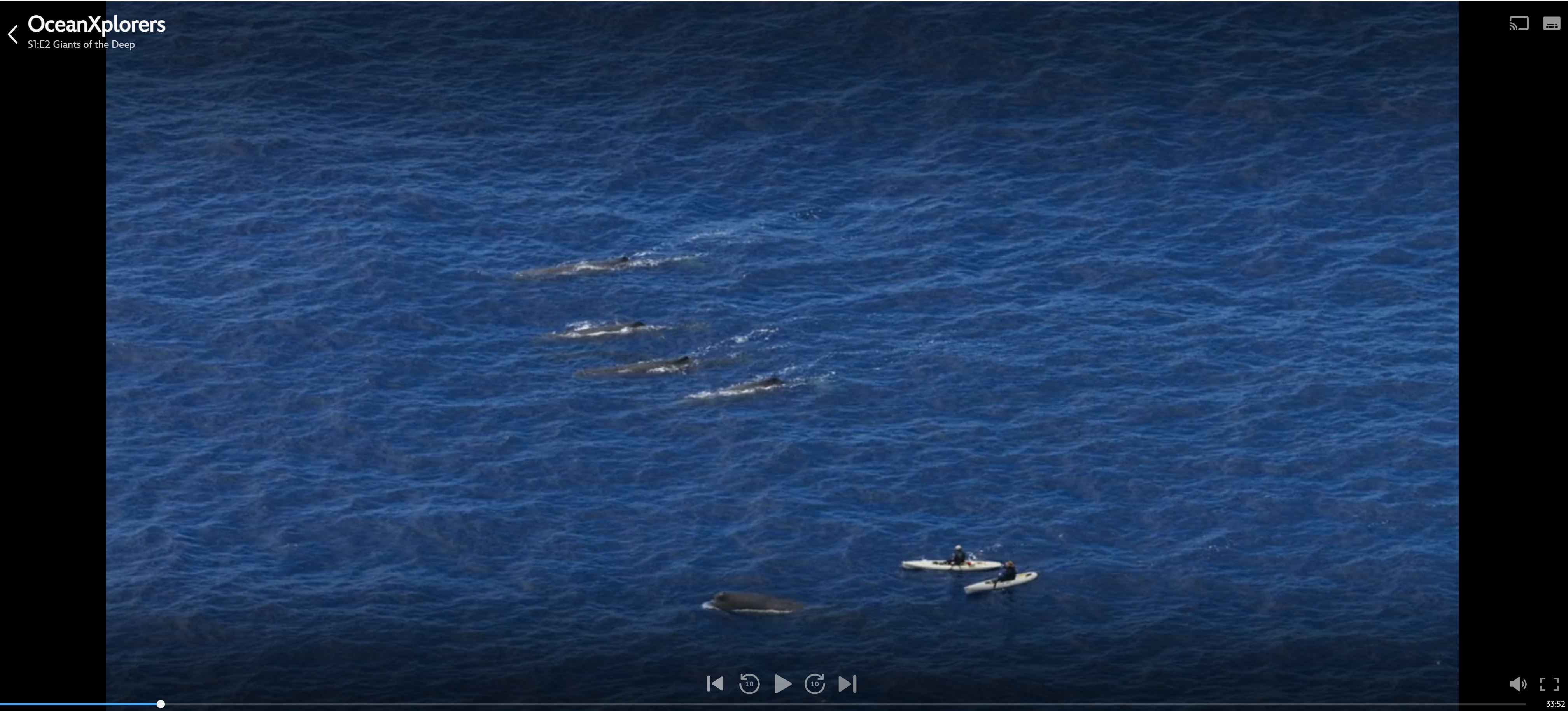 Intresting video about Sperm Wales arount Azores by OceanXplorers on DinsneyPlus